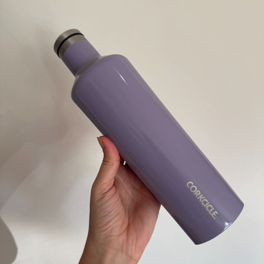 Corkcicle 25oz Canteen Insulated Stainless Steel Water Bottle – Peri Peri Purple